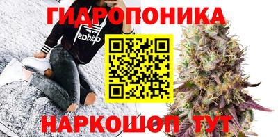 прущая мука Кимры