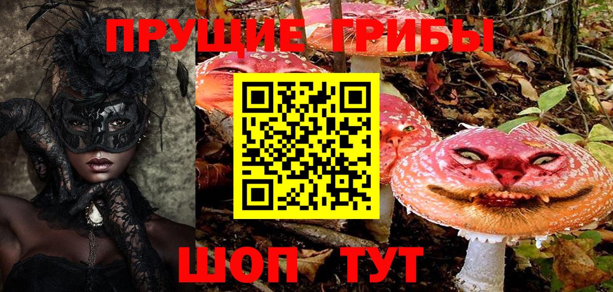 Ковров  Псилоцибиновые грибы Psilocybine cubensis  Вход с VPN 